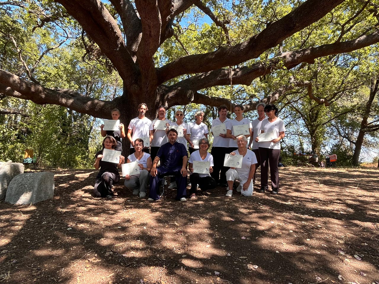 Université d'été de Taichi à Mougins dans les Alpes-Maritimes