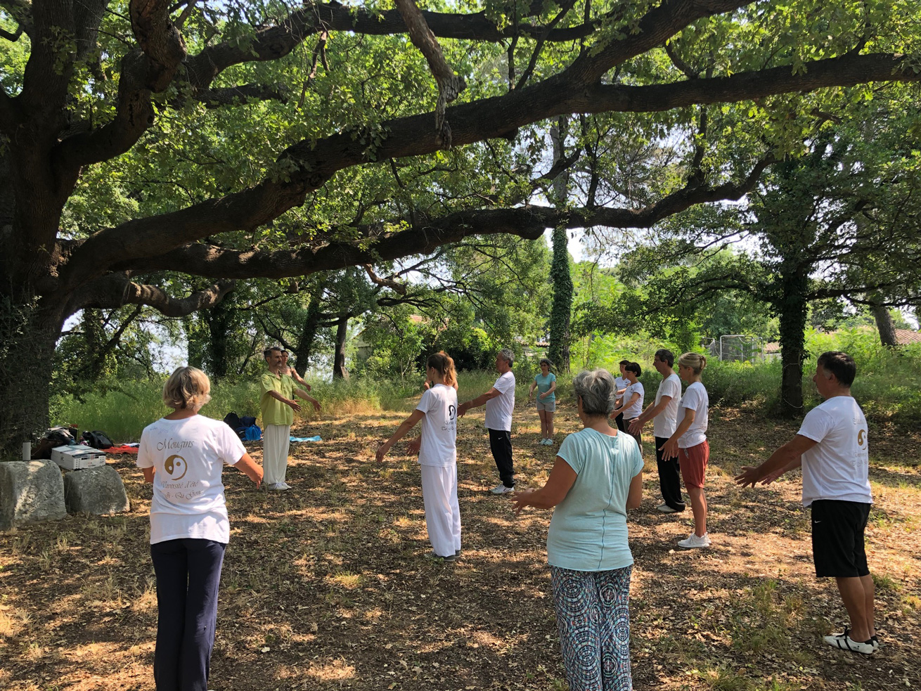 Cours de Qi Gong en plein air à Vallauris avec Jérôme Ravenet