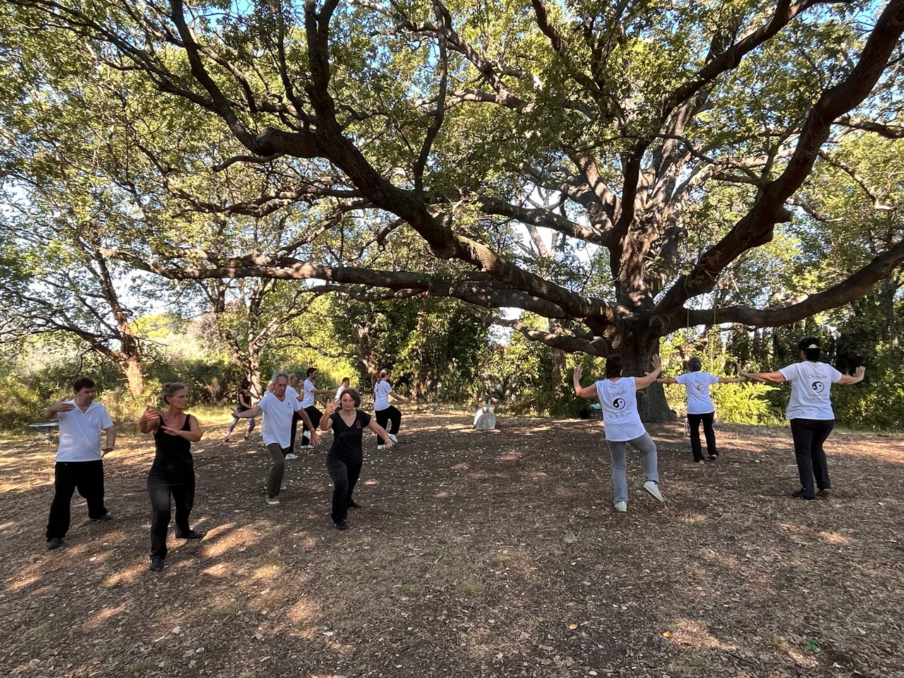 Cours de Tai Ji Quan en plein air avec Cédric Léger